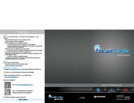 2014 Hyundai Bluelink Audio